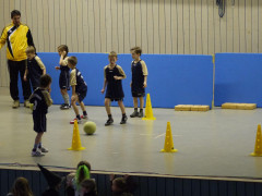 P1030256.JPG
