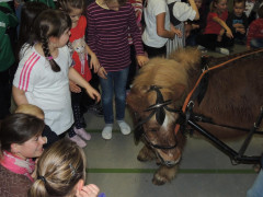 TSG-Weihnachtsfeier 143.JPG